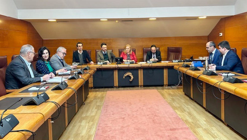  Comisión de Reglamento del Parlamento de Cantabria 