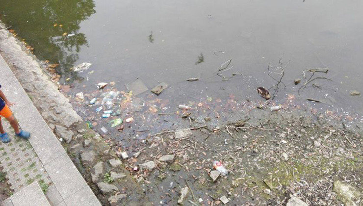 Los animales del Estanque de La Cantábrica viven junto a basura y bolsas de plástico