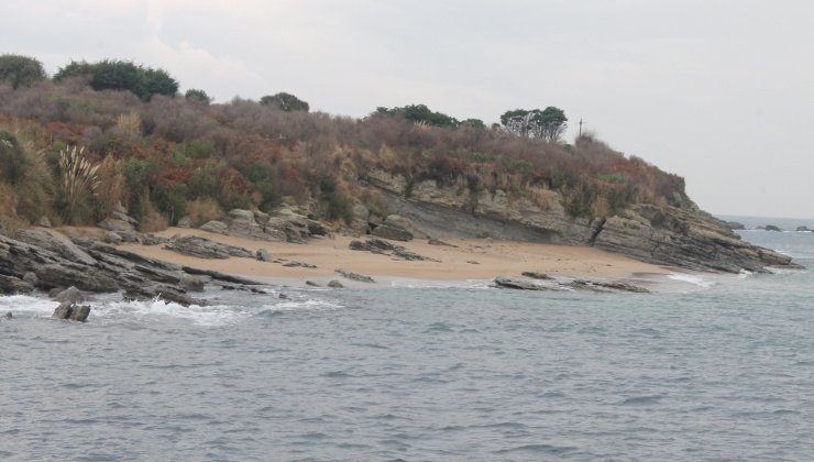 La isla de Santa Marina es una de las zonas en las que se está eliminando plantas invasoras como la chilca