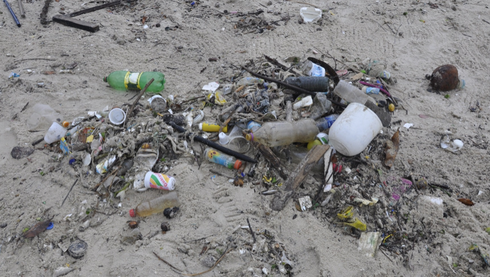 Imagen de una playa con basura