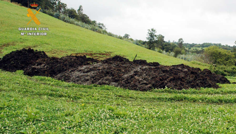 La acumulación de estiércol podría ser el origen de un vertido al río Aguanaz