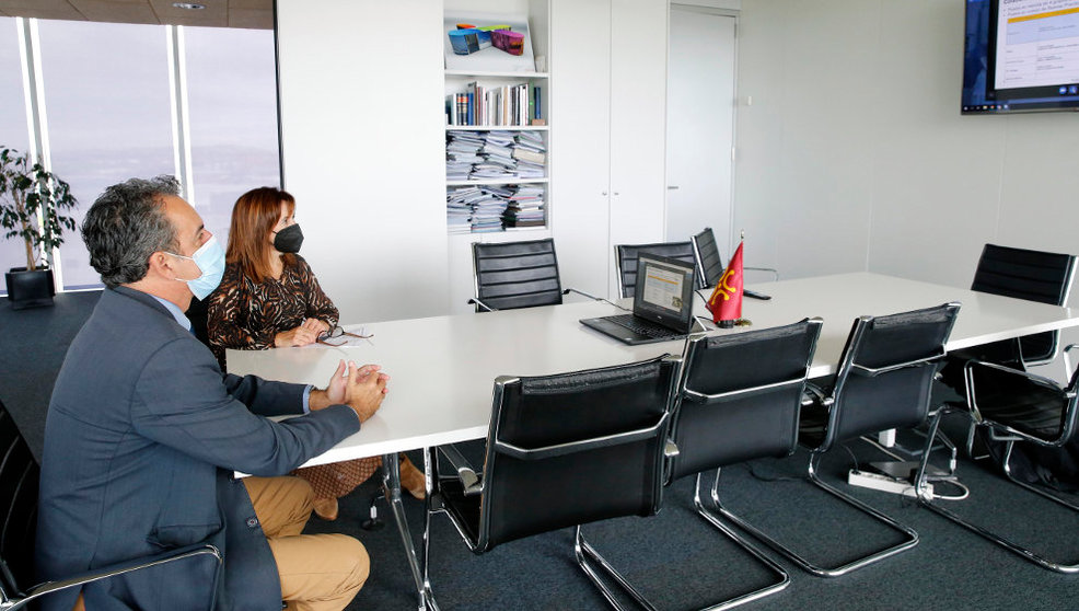 Los consejeros de Industria, Francisco Martín, y de Empleo, Ana Belén Álvarez, en la videoconferencia con Nissan