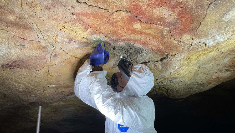 Toma de muestras en la Cueva de Altamira