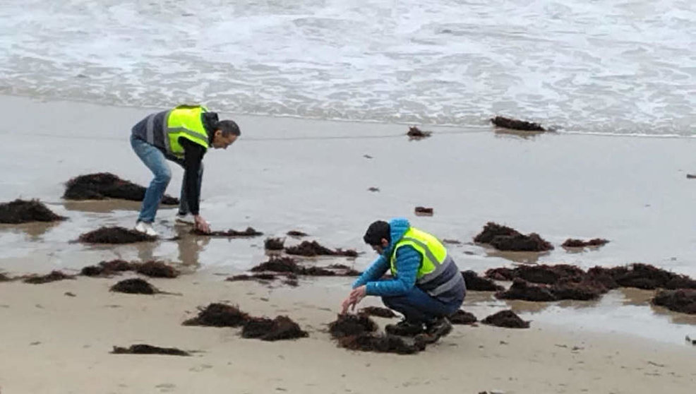 Agentes del Servicio de Vigilancia Ambiental de la Consejría de Medio Ambiente del Gobierno de Cantabria inspecionando la llegada de pélets a una playa