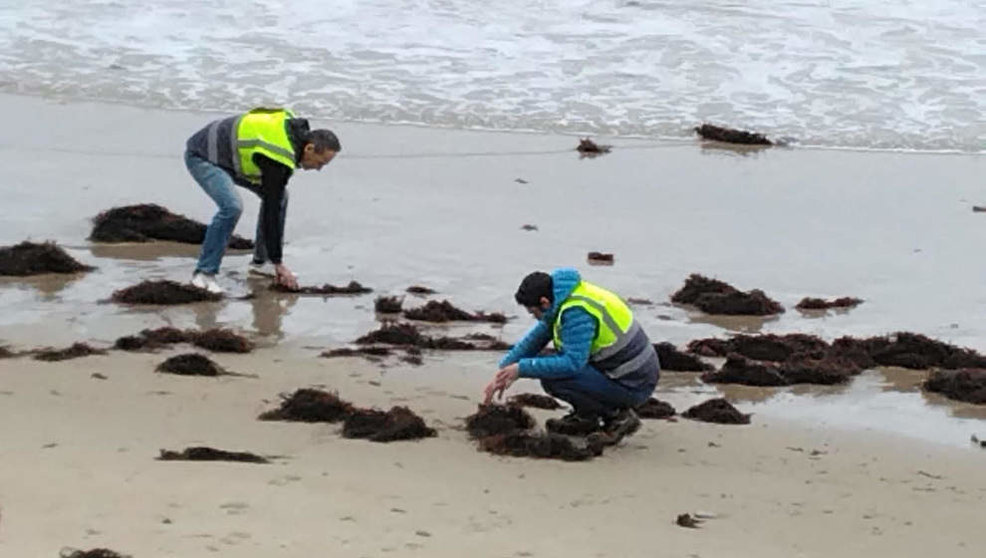 Agentes del Servicio de Vigilancia Ambiental de la Consejería de Medio Ambiente del Gobierno de Cantabria inspeccionando la llegada de pélets a una playa