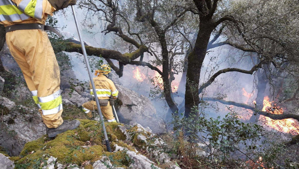 Efectivos del Gobierno de Cantabria controlan un incendio forestal